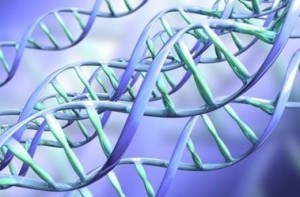 Новая методика определения внешнего вида по ДНК