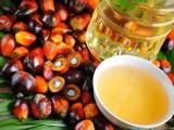 Украина стремительно наращивает импорт пальмового масла