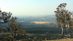 Масштабные пожары в Тасмании
